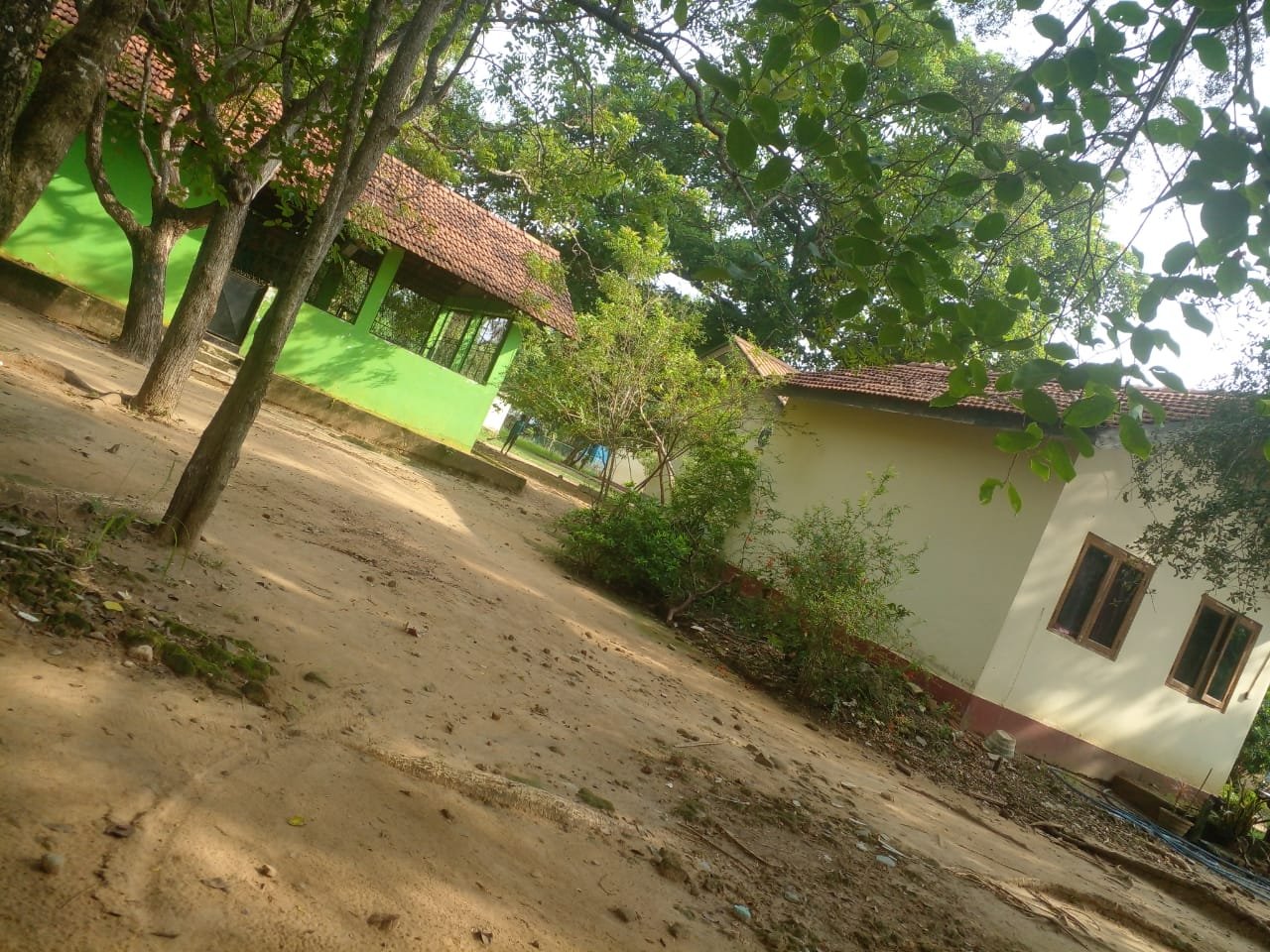 School photo 3
